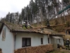 IMG-20190311-WA0003