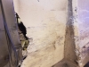 IMG-20190308-WA0015