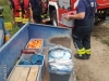 20190706_200601 (Groß)