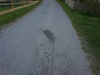 DSC07185