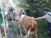 PHOTO-2021-05-14-18-17-05(1)