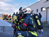 FF-BDL (24) (Groß)