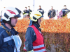FF-BDL (25) (Groß)