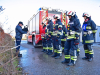 FF-BDL (38) (Groß)