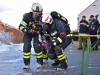 FF-BDL (47) (Groß)
