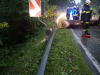 DSC08134 (Groß)