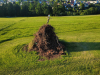 IMG-20250621-WA0035
